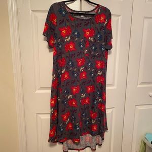 LulaRoe floral Carly dress xl